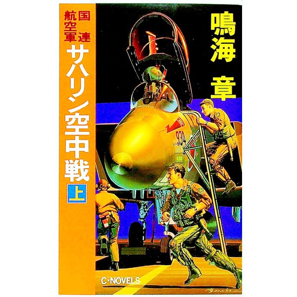 国連航空軍サハリン空中戦