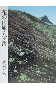 花の山旅・八ケ岳