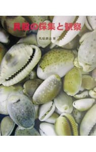 貝殻の採集と観察