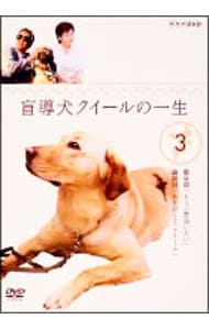 盲導犬クイールの一生(3)