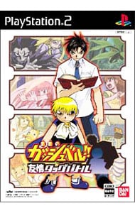 金色のガッシュベル！！ 友情タッグバトル