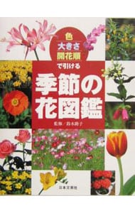 色・大きさ・開花順で引ける季節の花図鑑