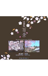 京都桜　百景