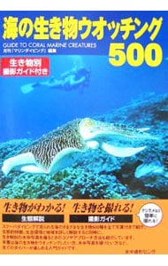 海の生き物ウオッチング５００