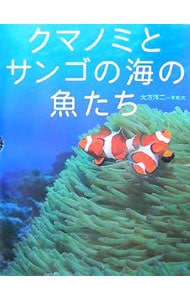 クマノミとサンゴの海の魚たち