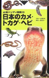 日本のカメ・トカゲ・ヘビ