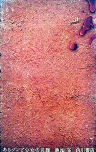 あるゾンビ少女の災難