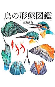 鳥の形態図鑑