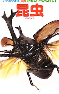 小学館の図鑑　ＮＥＯポケット　昆虫