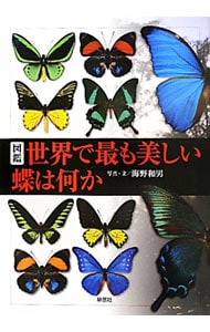図鑑世界で最も美しい蝶は何か