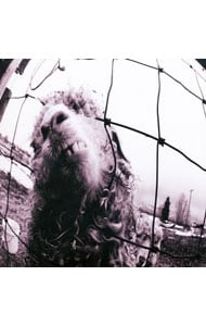 Vs    パール・ジャム