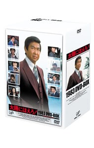 太陽のあなた DVD-BOX lV〈10枚組〉新品国内正規版