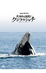 ＮＨＫスペシャル　大海原の決闘！クジラ対シャチ