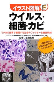 ウイルス・細菌・カビ