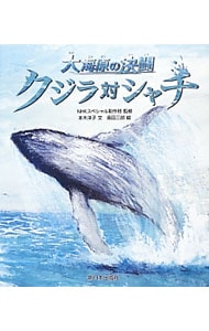 クジラ対シャチ
