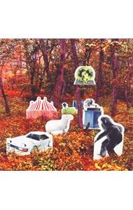 Behind The Scene   ストレイテナー