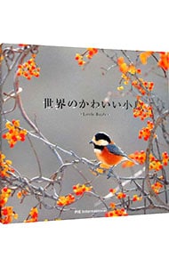 世界のかわいい小鳥 中古 上田恵介 古本の通販ならネットオフ