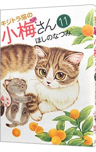 キジトラ猫の小梅さん 11 （Ｂ６版）