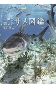 世界の美しいサメ図鑑