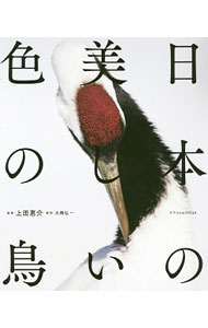 日本の美しい色の鳥