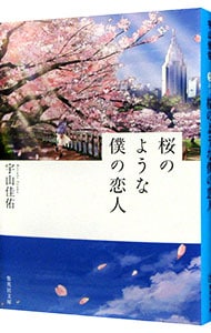 桜のような僕の恋人