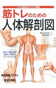 筋トレのための人体解剖図