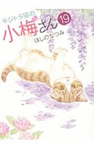キジトラ猫の小梅さん <19>