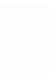 【特典ＤＶＤ付】ＳＩＤ　１５ｔｈ　Ａｎｎｉｖｅｒｓａｒｙ　ＧＲＡＮＤ　ＦＩＮＡＬ　ａｔ　横浜アリーナ～その未来へ～　初回生産限定版　［プレイパスコード付属なし］