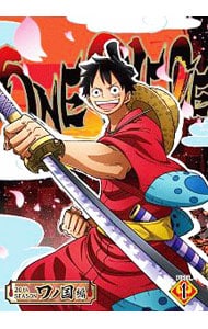 ONE PIECE ワンピース 20THシーズン ワノ国編