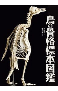 鳥の骨格標本図鑑