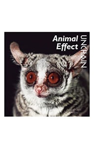 Animal Effect
