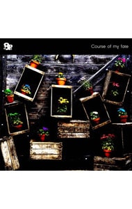 「Paradigm Paradox」主題歌~Course of my face/8P