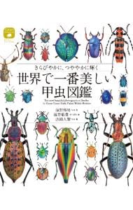世界で一番美しい甲虫図鑑