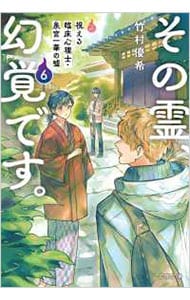 その霊、幻覚です。