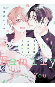 君と家族みたいなそれ以上