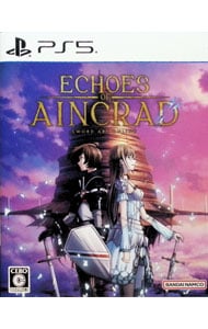 Echoes of Aincrad