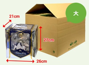 スケールフィギュア