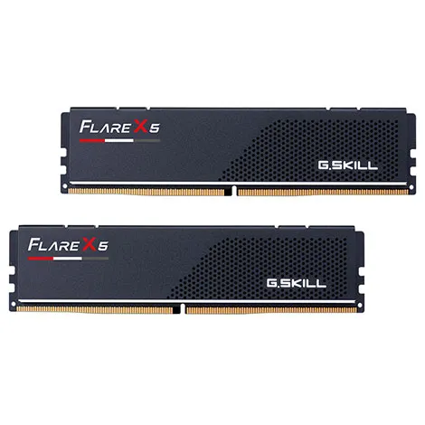 Flare X5 F5-5600J3636C16GX2-FX5 (DIMM DDR5 /16GB /2枚)