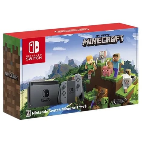 Nintendo Switch MinecraftセットHACSKAAGE