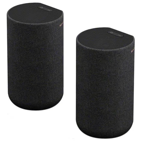 リアスピーカー（HTA7000対応） SA-RS5