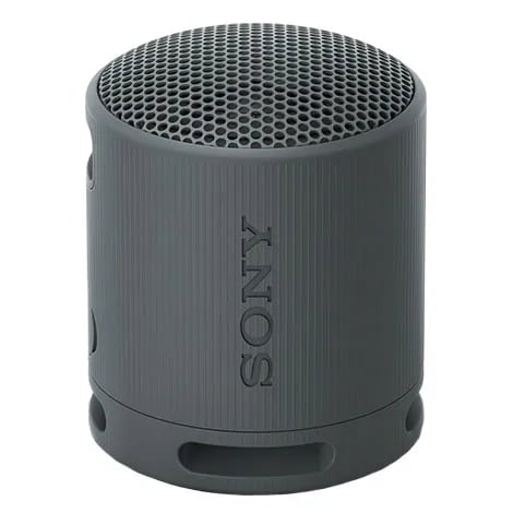 SRS-XB100 BC ブラック