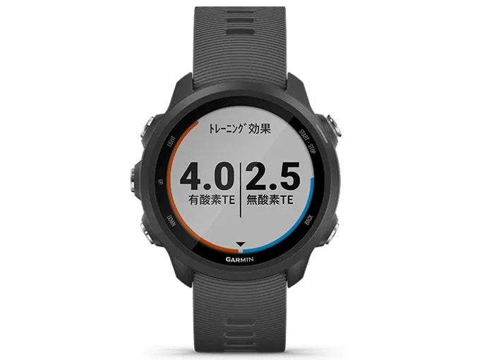 ForeAthlete 245 Black Slate 010-02120-42 ブラックスレート