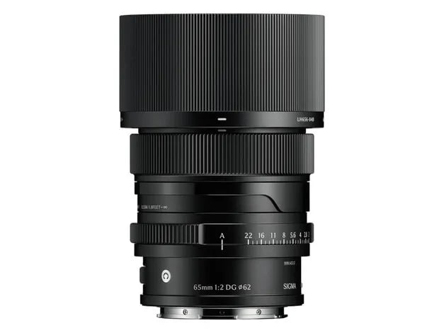 65mm F2 DG ソニーE用  