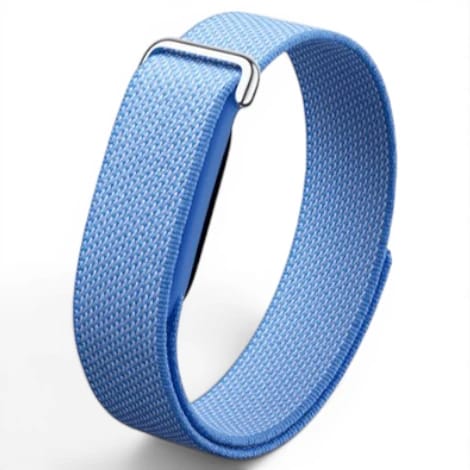 Fitbit Air GA11014-AU ラベンダー