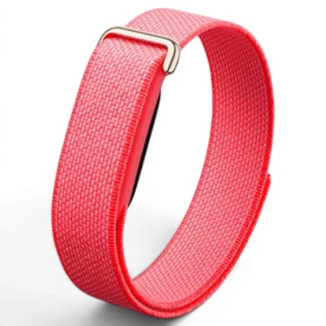 Fitbit Air GA11016-AU ベリー