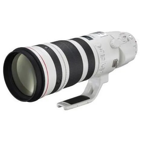 EF200-400mm F4L IS USM エクステンダー 1.4×