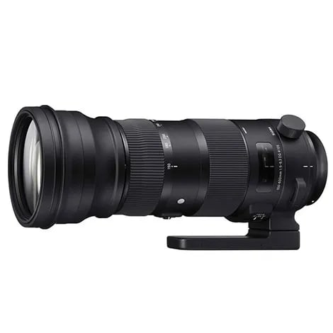 150-600mm F5-6.3 DG OS HSM Sports ニコン用