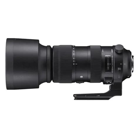 60-600mm F4.5-6.3 DG OS HSM Sports ニコン用