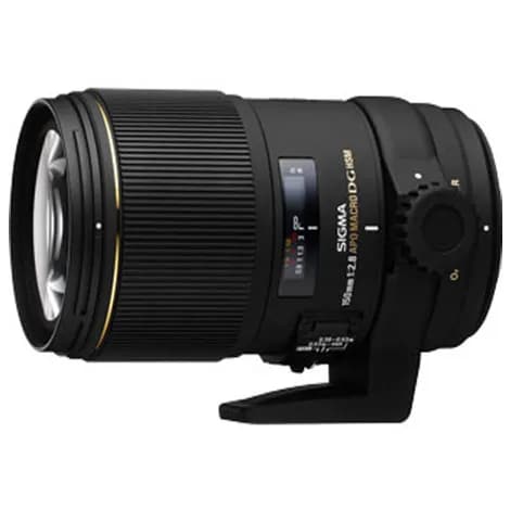 APO MACRO 150mm F2.8 EX DG OS HSM ソニー用