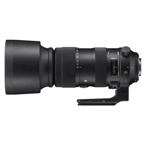 150-600mm F5-6.3 DG OS HSM Sports テレコンバーターキット キヤノン用